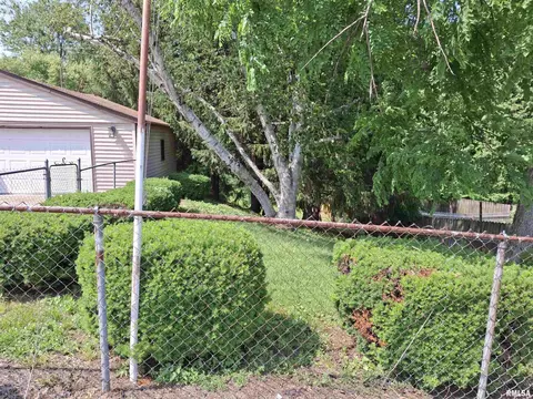 300 E 4th St, Saint David, IL 61563 photo 2