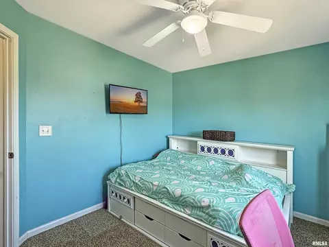 808 Simon St, Washington, IL 61571 photo 28
