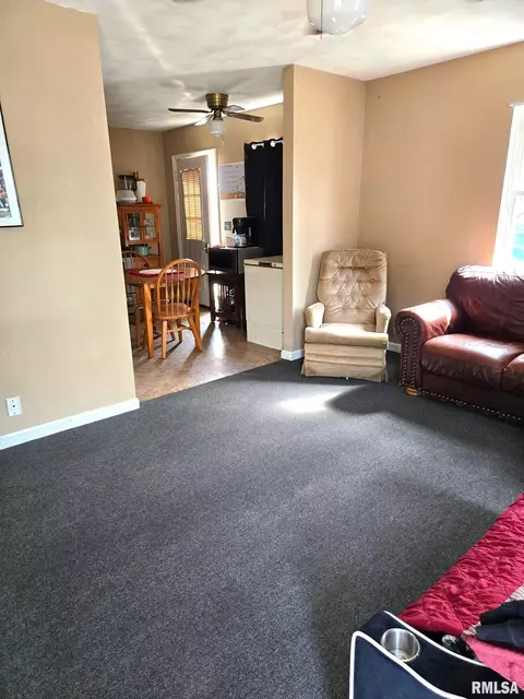 754 W Walnut St, Canton, IL 61520 photo 4