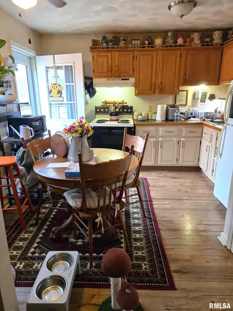 754 W Walnut St, Canton, IL 61520 photo 19