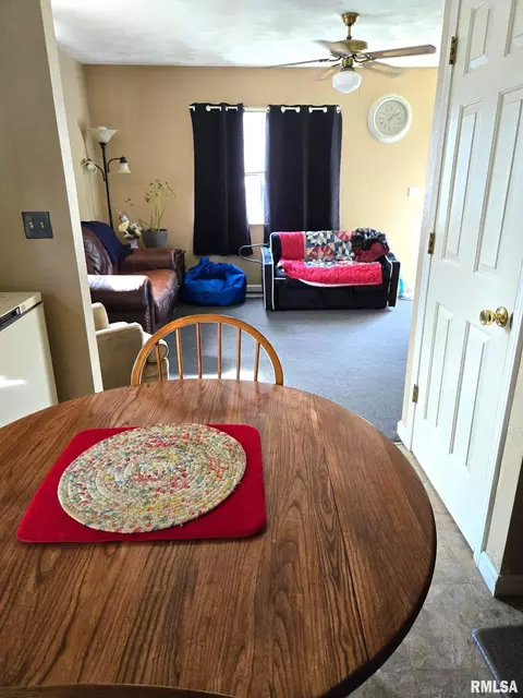 754 W Walnut St, Canton, IL 61520 photo 8