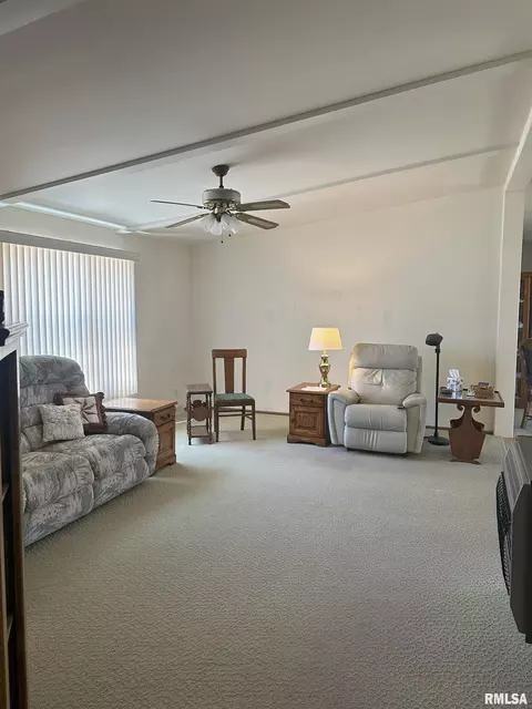 206 Clayton, Benson, IL 61516 photo 4
