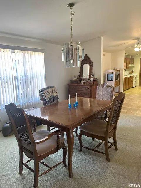 206 Clayton, Benson, IL 61516 photo 6