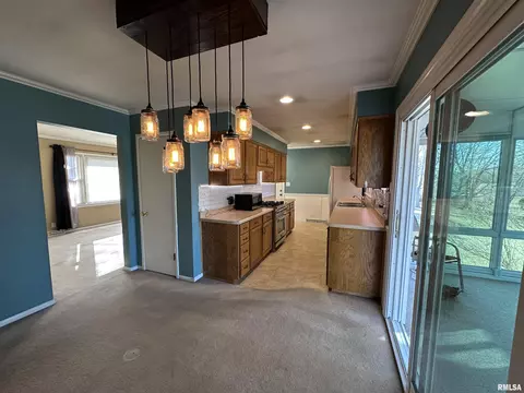1010 S Timber Ln, Eureka, IL 61530 photo 10