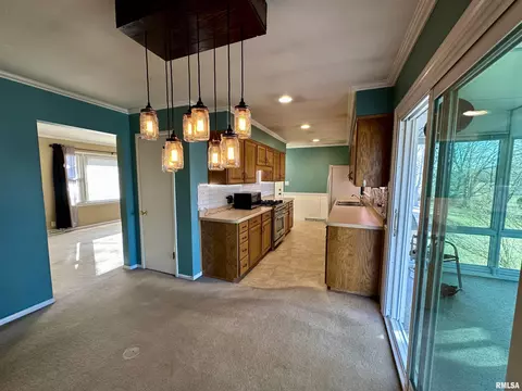 1010 S Timber Ln, Eureka, IL 61530 photo 5