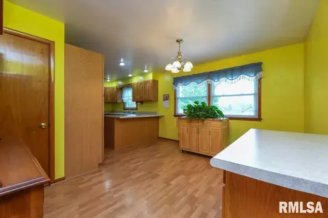 Other - 118 Pieper Cir, Delavan, IL 61734 photo 3 of 8