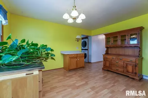 Other - 118 Pieper Cir, Delavan, IL 61734 photo 4 of 8