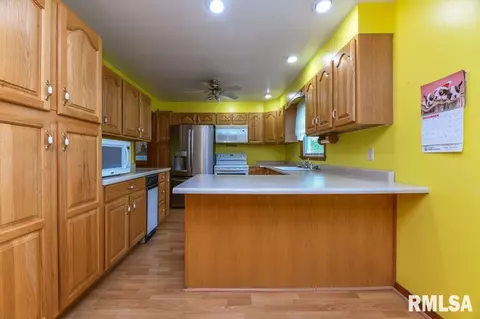 Kitchen - 118 Pieper Cir, Delavan, IL 61734 photo 1 of 5