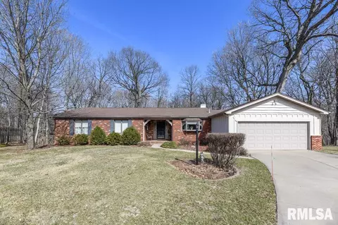 11002 N Buckskin Ct, Peoria, IL 61615