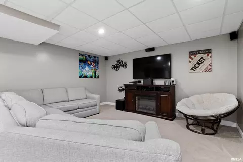 2312 W Marks Pl, Dunlap, IL 61525 photo 38