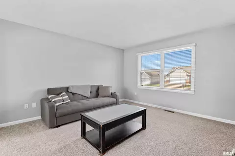 2312 W Marks Pl, Dunlap, IL 61525 photo 20
