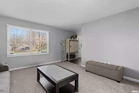 2312 W Marks Pl, Dunlap, IL 61525 photo 19