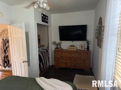 108 W 2nd St, Delavan, IL 61734 photo 17