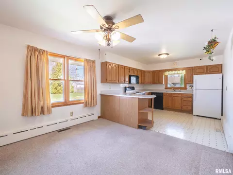 509 E 6th St, Delavan, IL 61734 photo 13