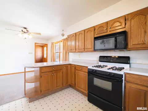 509 E 6th St, Delavan, IL 61734 photo 20