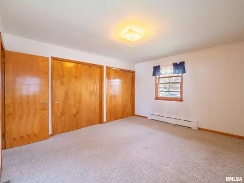 509 E 6th St, Delavan, IL 61734 photo 27