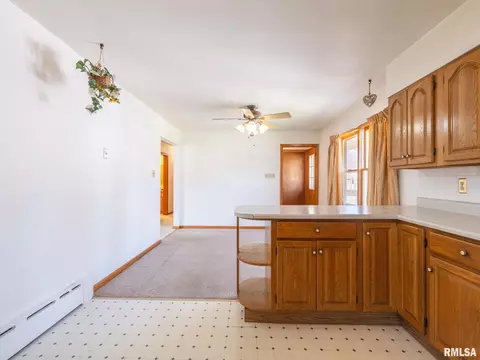 509 E 6th St, Delavan, IL 61734 photo 15