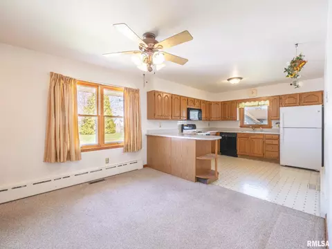 509 E 6th St, Delavan, IL 61734 photo 18