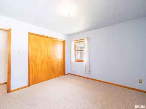 509 E 6th St, Delavan, IL 61734 photo 28