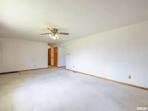 509 E 6th St, Delavan, IL 61734 photo 12