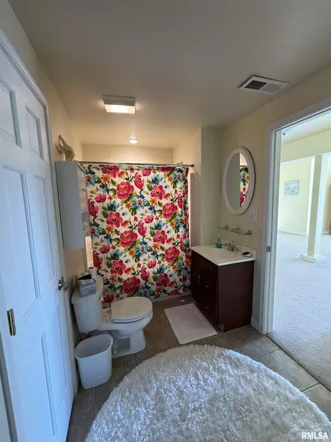 Bath - 303 S Riverview Ct, Lacon, IL 61540 photo 4 of 5
