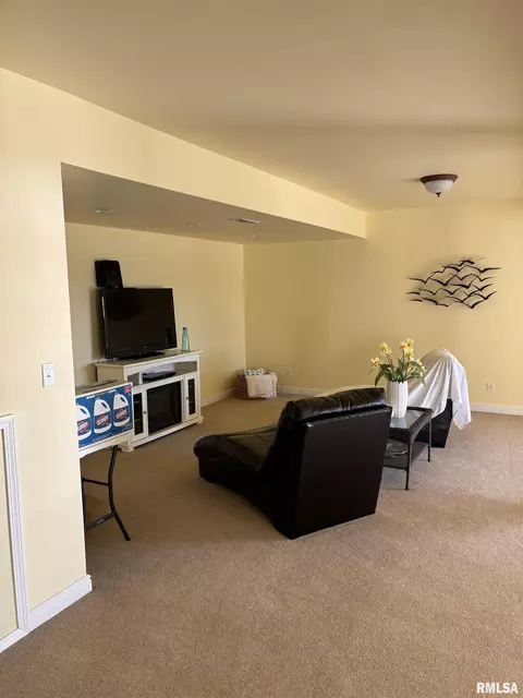 Other - 303 S Riverview Ct, Lacon, IL 61540 photo 5 of 9