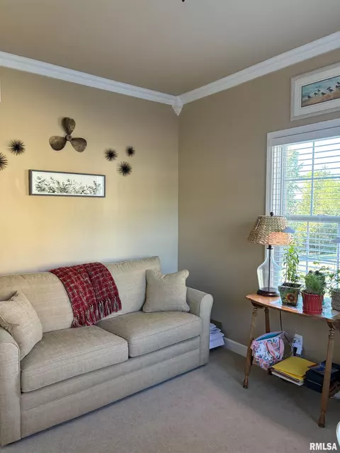 Other - 303 S Riverview Ct, Lacon, IL 61540 photo 3 of 9