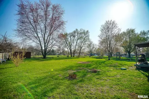7449 Myrtle St, Manito, IL 61546 photo 39