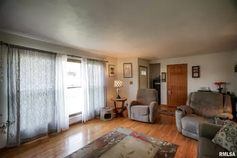 7449 Myrtle St, Manito, IL 61546 photo 6
