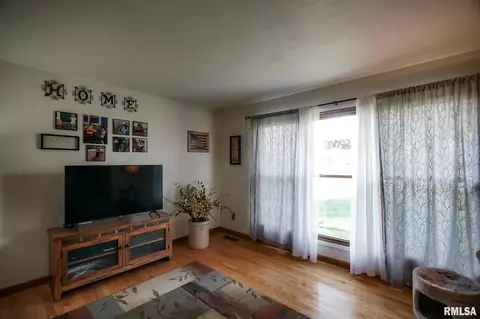 7449 Myrtle St, Manito, IL 61546 photo 5
