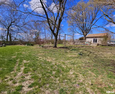 Exterior - 707 S Walnut St, Delavan, IL 61734 photo 3 of 12