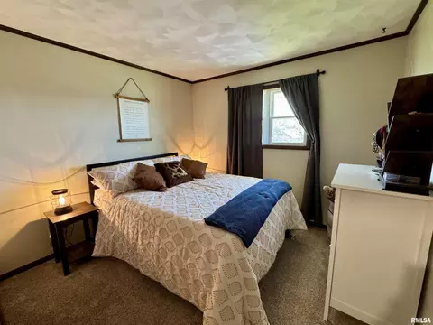 396 Mcgrew Dr, Avon, IL 61415 photo 24