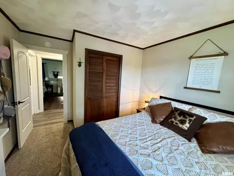 396 Mcgrew Dr, Avon, IL 61415 photo 25