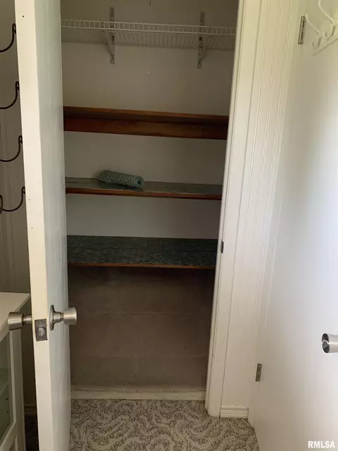 Other - 19135 E 2000th St, Bushnell, IL 61422 photo 5 of 8