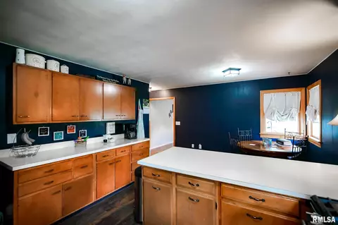 Kitchen - 100 Weber Ln, Delavan, IL 61734 photo 11 of 13