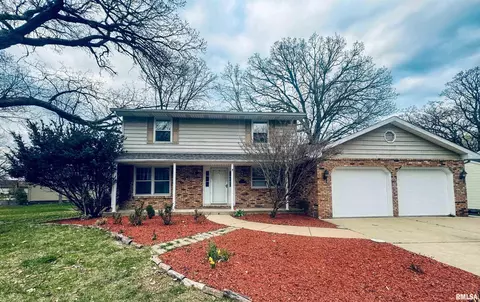 11046 N Buckskin Ct, Peoria, IL 61615