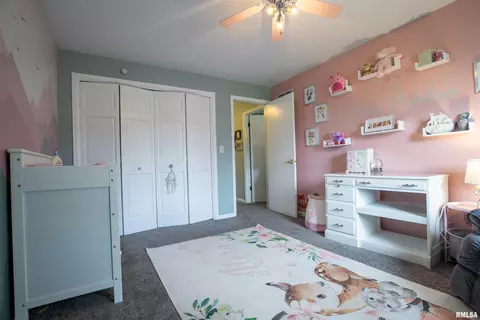 Other - 4823 S Valeta Ct, Mapleton, IL 61547 photo 13 of 14