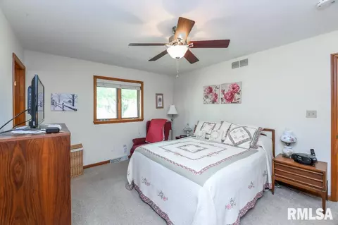 1901 Sun Mill Ct, Springfield, IL 62704 photo 38