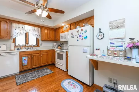 1901 Sun Mill Ct, Springfield, IL 62704 photo 18