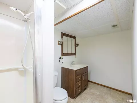 Bath - 208 E Glendale St, Manito, IL 61546 photo 5 of 6