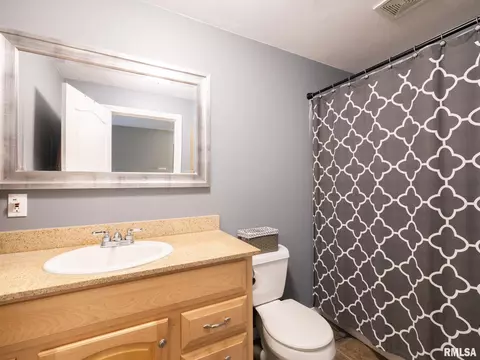 3316 S Thorncrest Ct, Mapleton, IL 61547 photo 50