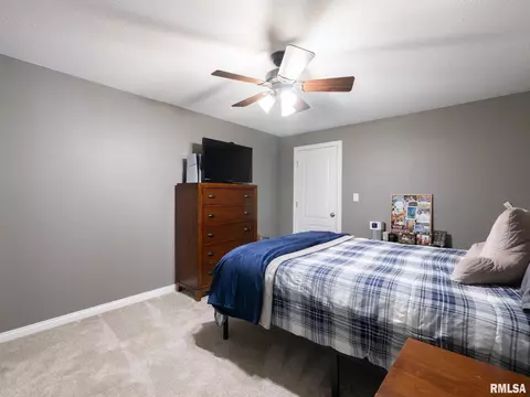 3316 S Thorncrest Ct, Mapleton, IL 61547 photo 49