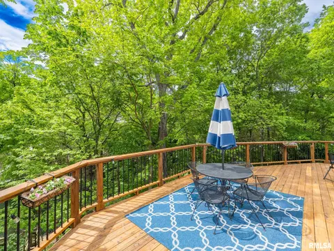 3316 S Thorncrest Ct, Mapleton, IL 61547 photo 58