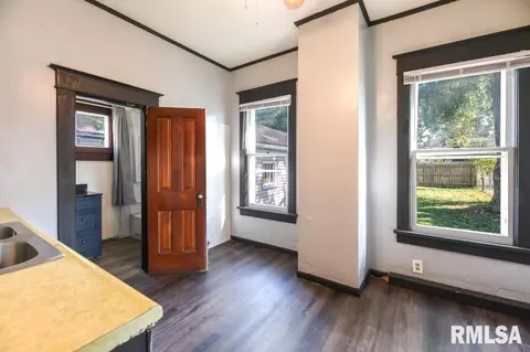 437 N Avenue B, Canton, IL 61520 photo 3