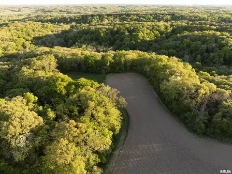 0 Chambers Rd, Smithfield, IL 61477