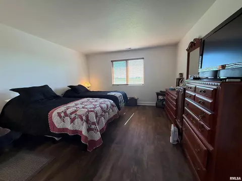 309 Scotch Pine Dr, Macomb, IL 61455 photo 20