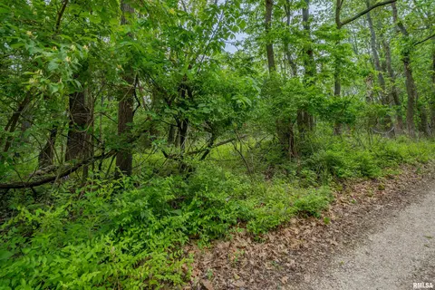 N Stewart Street, Creve Coeur, IL 61610