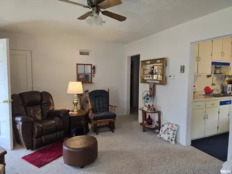 225 E Hickory St, Canton, IL 61520 photo 7