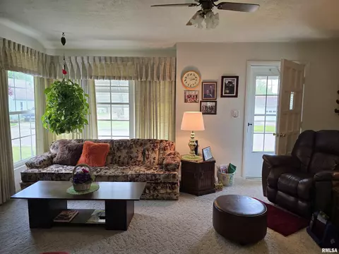 225 E Hickory St, Canton, IL 61520 photo 9