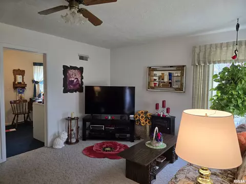 225 E Hickory St, Canton, IL 61520 photo 6